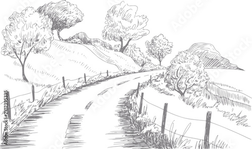 Foto Dibujo a mano de un camino rural sinuoso que atraviesa colinas onduladas y árbol