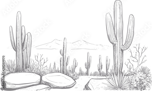 фотографія Dibujo a mano de un paisaje desértico escénico con cactus saguaro, rocas y monta