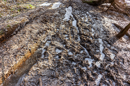 Cuadro en lienzo Frozen mud and deep vehicle ruts covered with ice crust in a rustic forest path