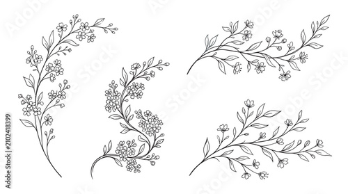 Design a sophisticated set of unique minimalist botanical line art illustrations featuring elegant flowering branches with delicate tiny blossoms 