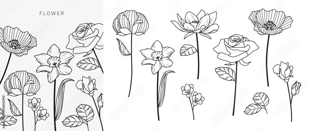 Fototapeta premium Hand drawn flower bouquet line element vector. Collection of foliage, leaves branch, wildflower, poppy, peony, eucalyptus. Spring blossom illustration design for logo, wedding, tattoo, decor.