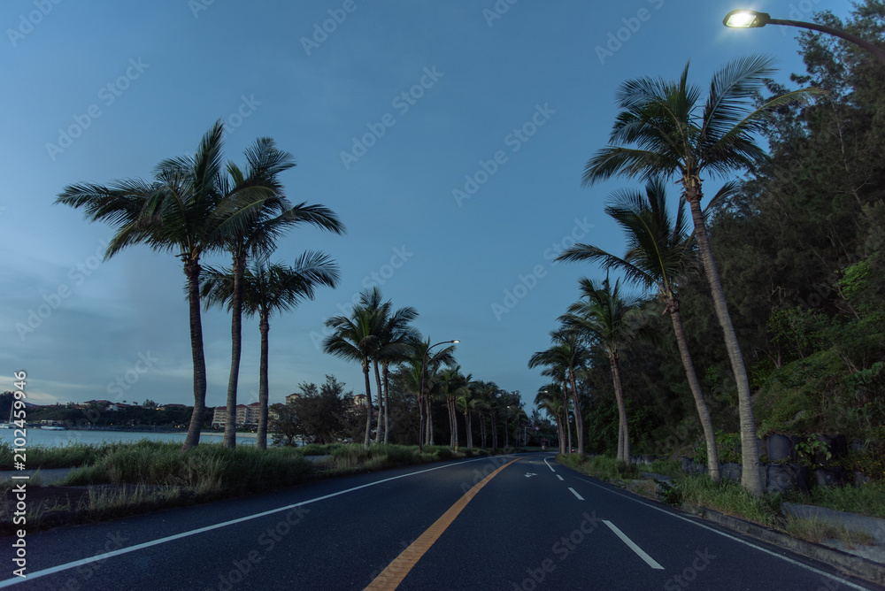 Fototapeta premium 日没後の暗がりの海沿いにヤシの木が並ぶリゾート地の車道