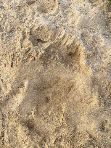 background of sand texture.