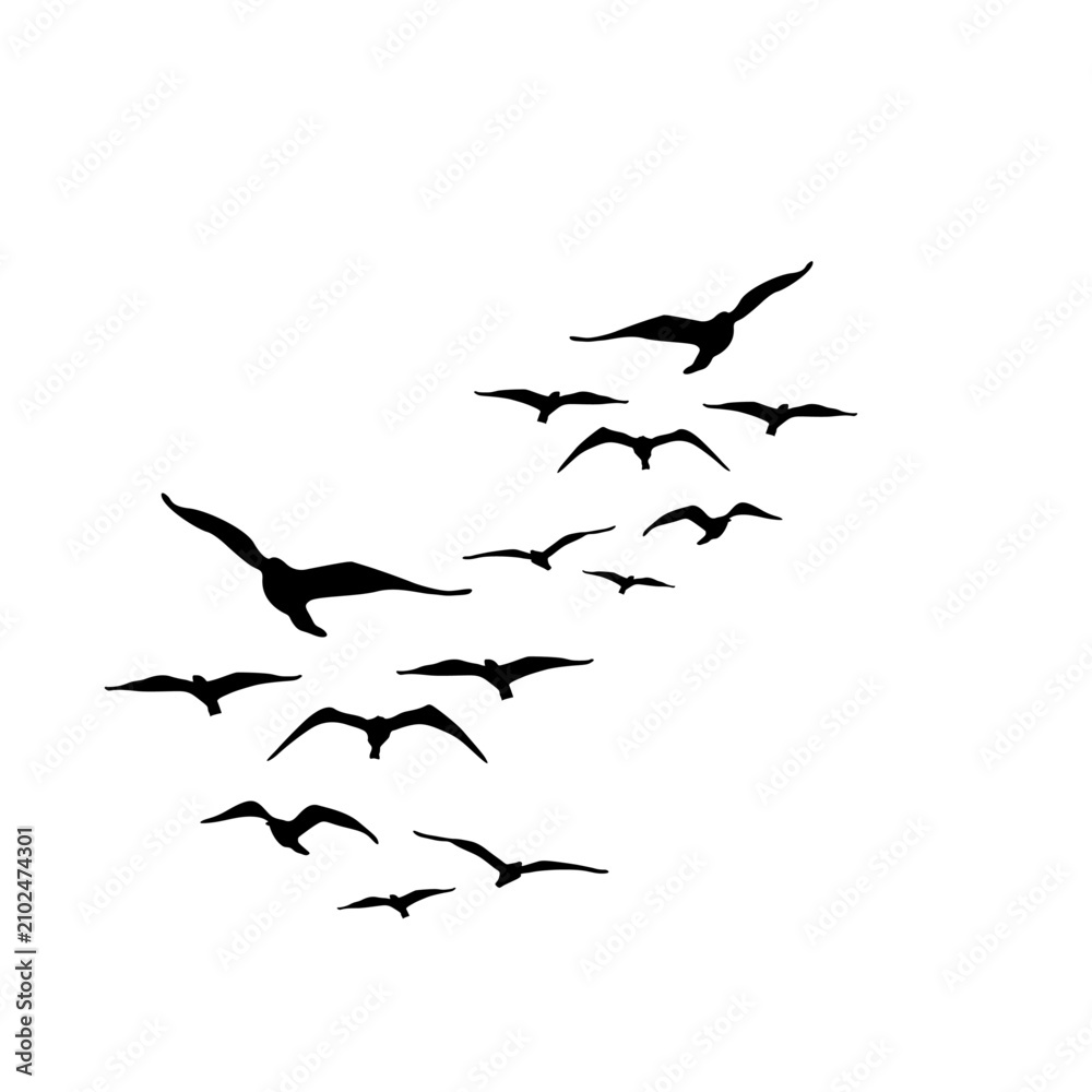 Obraz premium Elegant Bird Silhouette In Flight Vector.ai