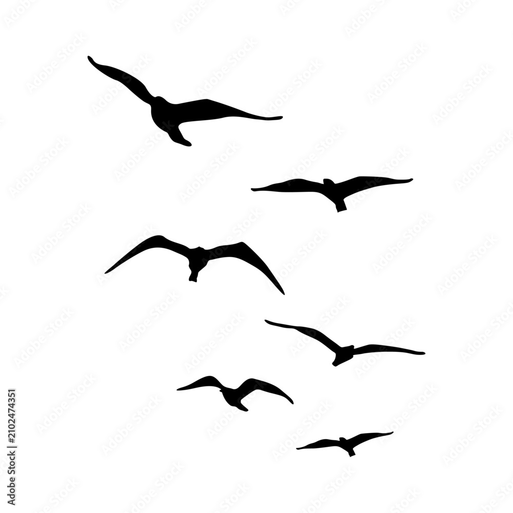 Obraz premium Minimal Flying Bird Silhouette Vector Collection.ai