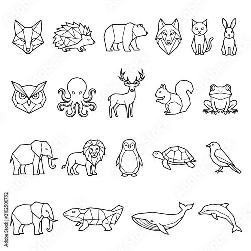 Photography Animals Geometric Outline Collection for Modern Design and Educational Resources