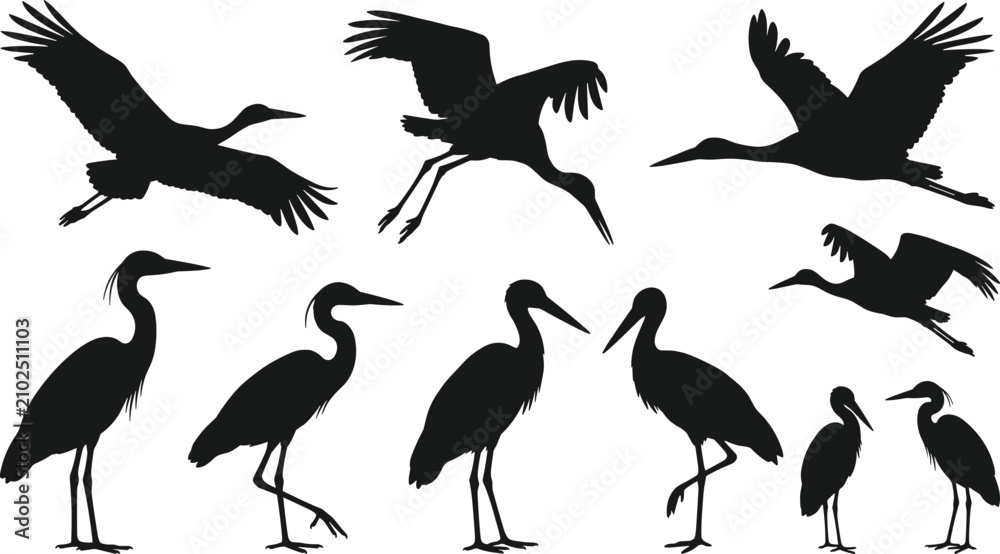 Obraz premium Stork and heron bird black silhouette set flying landing and standing wild wading animals vector illustration,