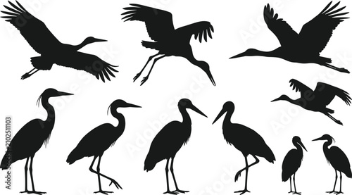 Photography Stork and heron bird black silhouette set flying landing and standing wild wadin