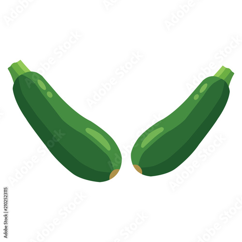 Two fresh green zucchini vegetables organic healthy food, summer harvest, vegetarian ingredient for cooking, flat vector illustration