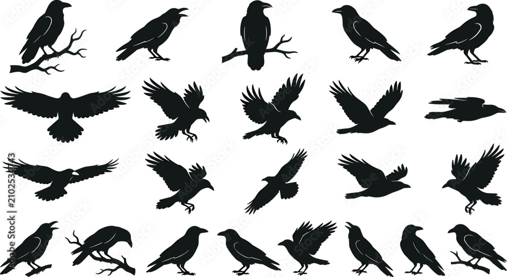 Obraz premium Black Crow and Raven Silhouette Bird Icon Set Featuring Flying and Perched Wildlife Graphic Illustrations