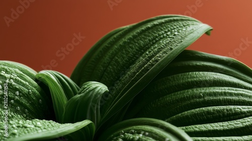 Close Up of Green Leaves with Textured Surface against Warm Orange Background, Perfect for Nature, Botany, and Home Decor Projects