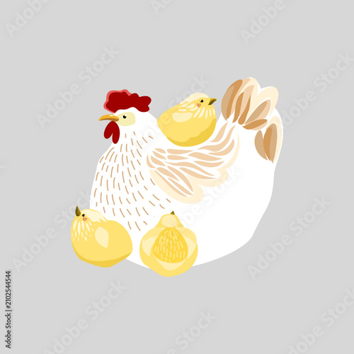 Cute white hen with her fluffy yellow chicks, isolated farm animal family character design