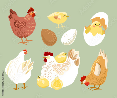 Set of cute farm chickens and chicks, vector illustration of hens and hatching eggs for Easter design
