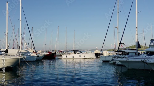 Luxury yachts in marina