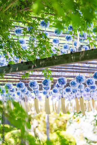 Konstfotografi Colorful Japanese glass wind chimes hanging under the wooden roof with green leaves in summer
