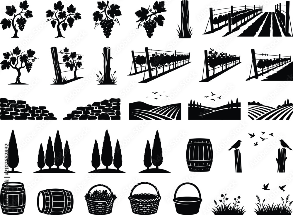 Obraz premium Collection of vineyard elements including grapevines stone walls and cypress trees silhouette