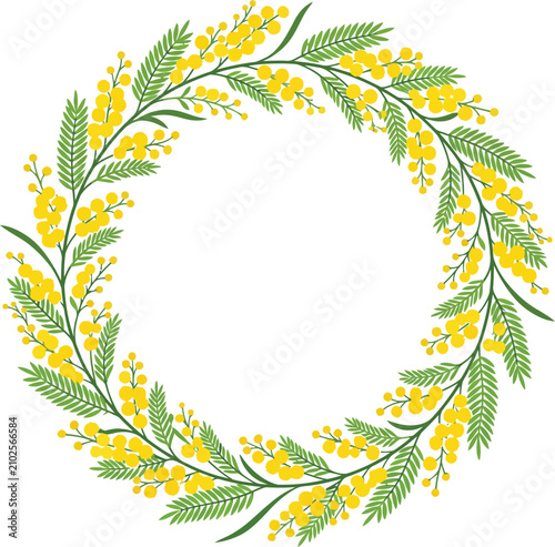 Australian golden wattle circular floral frame with circular botanical illustration australian decorative background wildflower sunshine blooming plantlife botanics arrangement wreathes