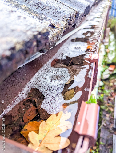 Blocked House Gutter Filled with Leaves and Standing Rainwater