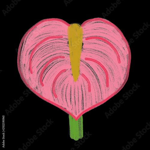 Calla lily flower animated sticker with transparent background, hand-drawn wiggle line art