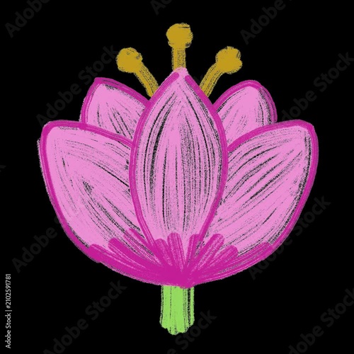 Lotus flower animated sticker with transparent background, hand-drawn wiggle line art