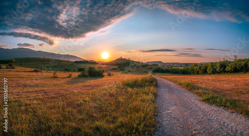 sunset over the field