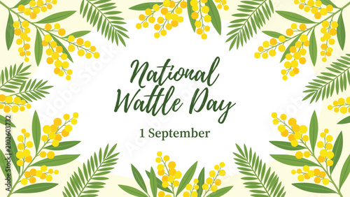 National wattle day 1 september greeting card with golden wattle flowers australian september greeting botanical illustration celebration national background decorative celebrating sunshine