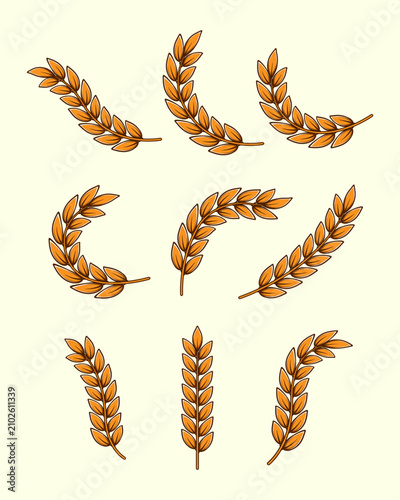 Illustration of a rice or wheat stalk for decoration