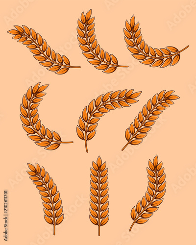 Rice or wheat stalk Element