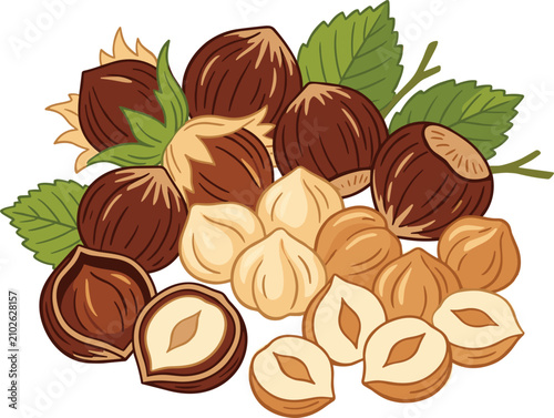 Fotografía Organic hazelnut group flat graphic sketch with whole filbert nuts inside shells