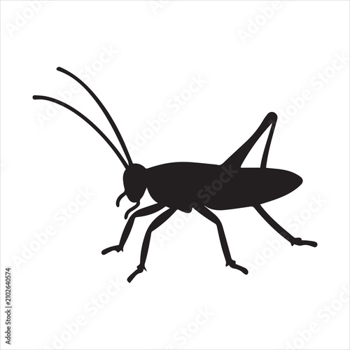 Foto A black bug with a long antennae