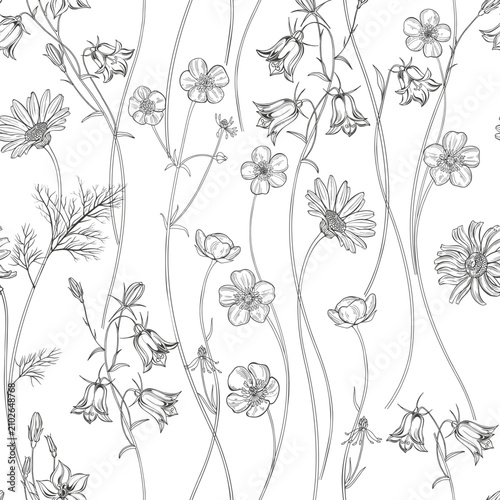Bluebells, buttercups and chamomile. Seamless pattern with wildflowers. Vector illustration with summer meadow. Black and white. Perfect for design templates, wallpaper, wrapping, fabric, print and te
