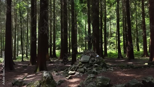 Mass Rock in Oughaval Forest, County Laois, Ireland