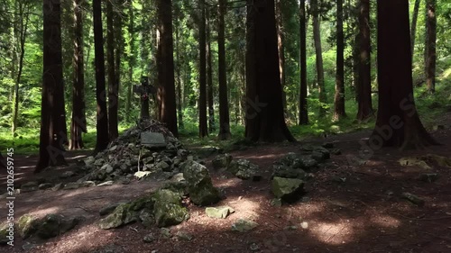 Mass Rock in Oughaval Forest, County Laois, Ireland