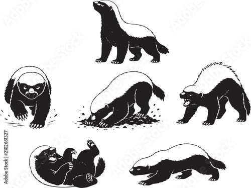 A set of honey badgers. Hand drawn vector illustration