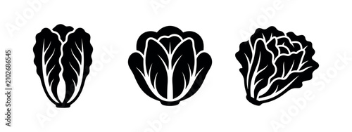 Принти на полотні Fresh Green Lettuce and Cabbage Heads Silhouettes Set