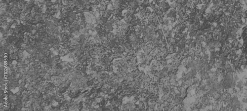 Vászonkép Light grey granite rock texture with white crystalline inclusions and organic ro