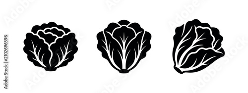 фотографія Lettuce and cabbage vegetable icon set, fresh healthy food symbols