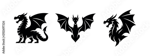 Fotografía Dragon icons set
