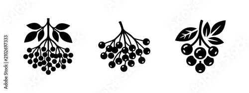 Bild auf Leinwand Berry clusters icons set