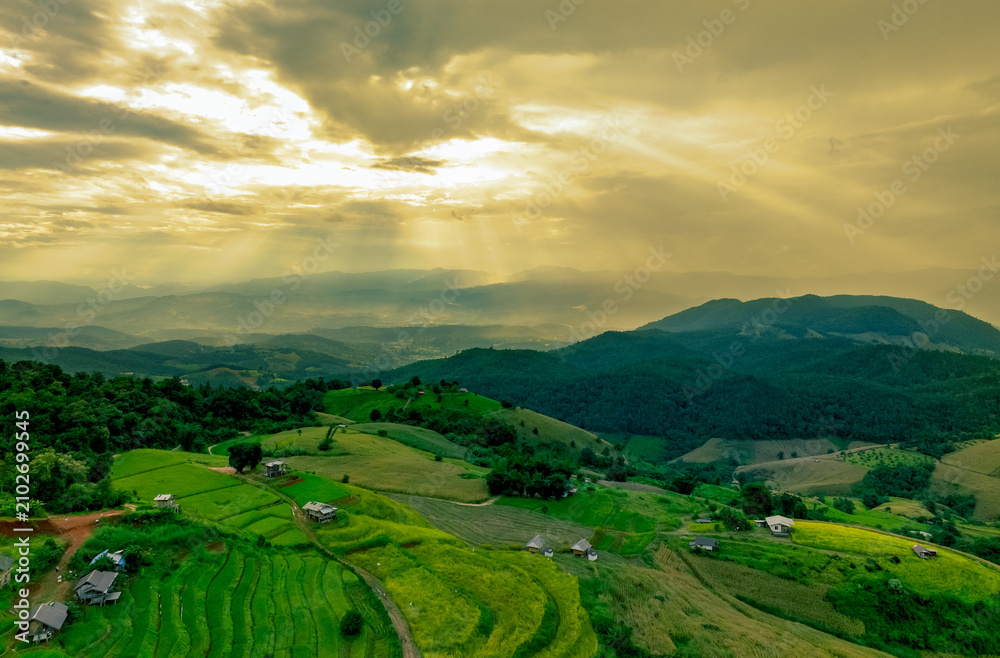Obraz premium Serene Panorama of Rolling Green Hills Under Soft Golden Light with Dramatic Cloud Cover in a Tranquil Rural Landscape