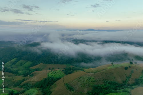 Принти на полотні Elevated view of foggy green slopes during early morning in peaceful countryside, representing calm natural environment, scenic travel, and emotional connection with untouched nature