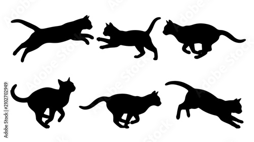 Photography Set of black cat silhouettes in various jumping and running poses isolated on white background
