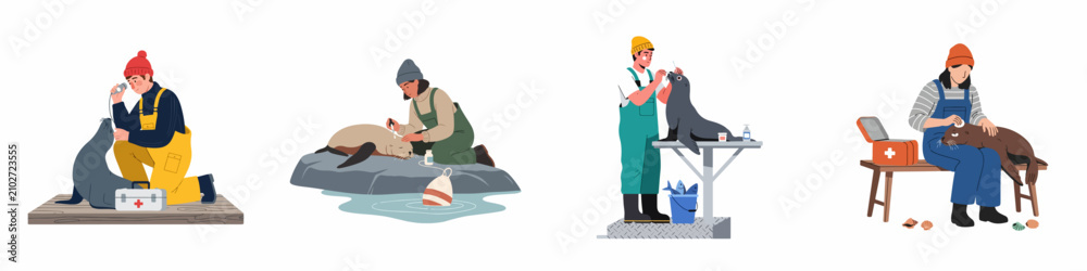 Fototapeta premium Set of illustrations showing dedicated marine animal rescuers providing medical care and treatment to seals and sea lions in various coastal settings.