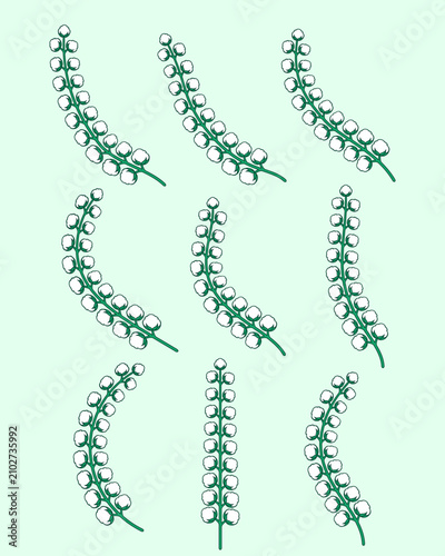 Cotton logo for decorative symbol