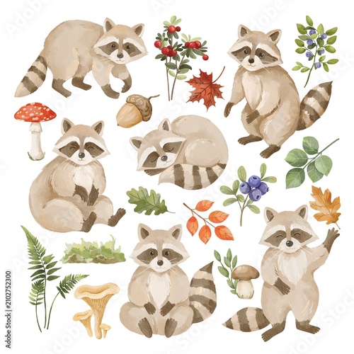 Cute Raccoon Watercolor Clipart Set Woodland Animals and Forest Elements