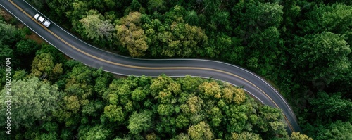 Aerial drone view of a winding road through a lush green forest with cars driving on it.
