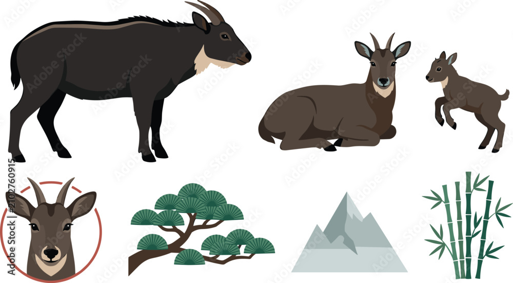 Obraz premium Japanese Serow Collection with Adult Serow Kid Mountain Wildlife Bamboo Forest and Alpine Nature Vector Illustration Set