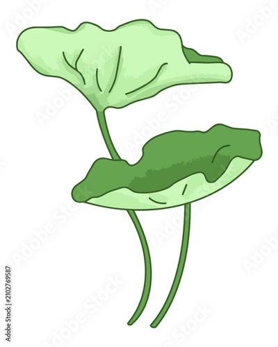 Cartoon vector illustration of lotus leaves with a calm natural aquatic theme.