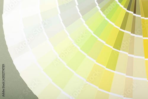 color palette guide