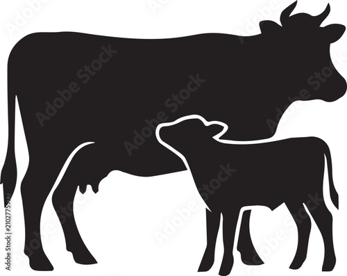 Canvas Print Highland Cattle Cow Head Horns Silhouettes